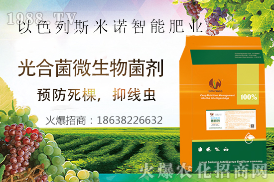 ���Y���xΣ����̫�y��������΢�ء����æ�����ƾ��x���x�����Ƀ���