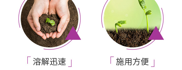 ������͏�(f��)�Ϸ���25-14-6-���_08