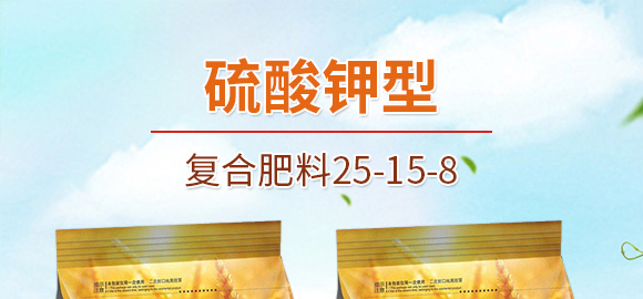 ������͏�(f��)�Ϸ���25-14-6-���_01