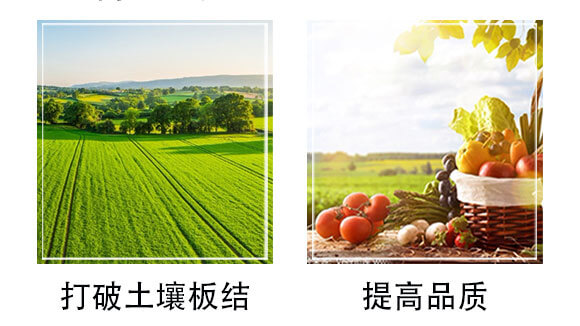 中量元素水溶肥-鈣優(yōu)鎂-根之道_06