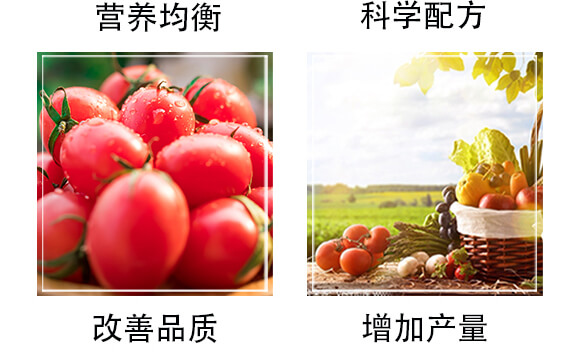 生物有機肥（綠）-豐農_05