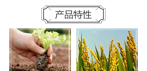 �׷����־���-�۟oۙ-�T�_(d��)_06