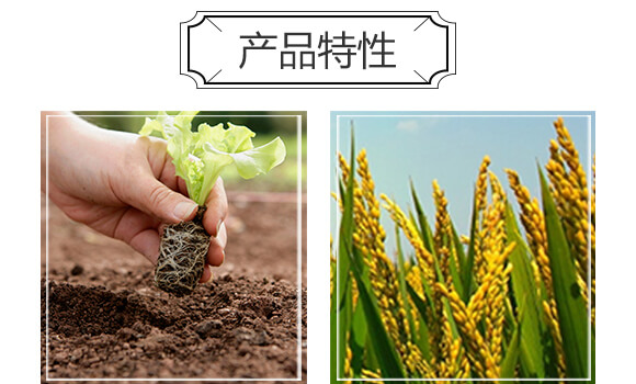 生物有機(jī)肥-豐農(nóng)_04