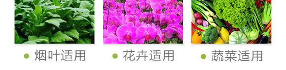 ���ӹ���̿��ø-������-���S���@_09