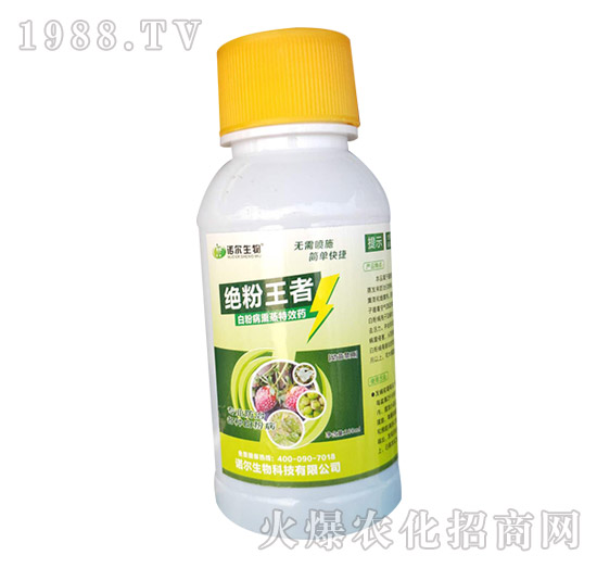 �S�ϰ׷۲��l(f��)�����أ��Л]�кõķ������S�ϰ׷۲�ˎ�����]��