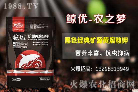 �����ķNֲ�ܶ���������Ʒ�N�x�񼰷Nֲ������