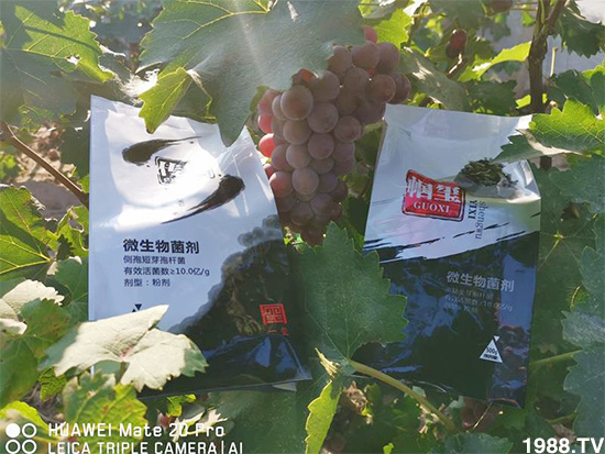 �îa(ch��n)Ʒ�����ã���һ�t���΢������������t���͑��挍(sh��)������