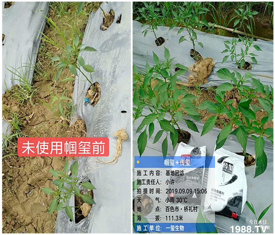 �îa(ch��n)Ʒ����������һ�t���΢������������t���͑��挍(sh��)������