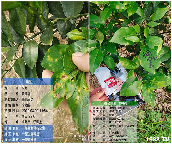 �îa(ch��n)Ʒ�����ã���һ�t���΢������������t���͑��挍(sh��)������