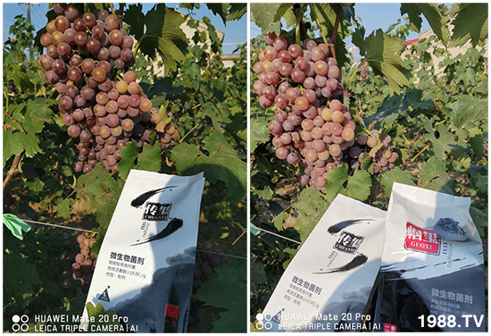 �îa(ch��n)Ʒ�����ã���һ�t���΢������������t���͑��挍(sh��)������