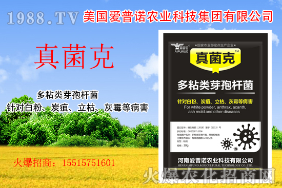 ���������Z��ʲô��(y��u)�������������Z�a(ch��n)Ʒ����Щ��