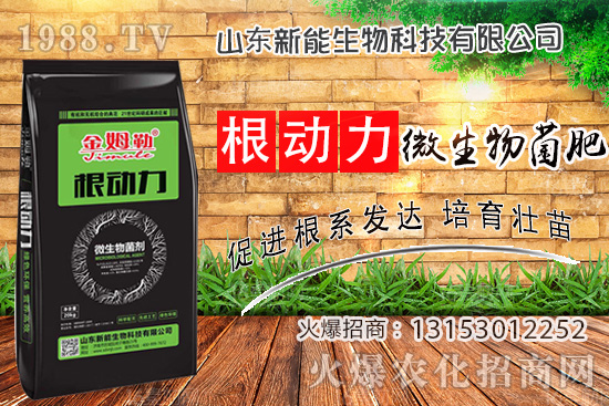 ����������ʲô����ʹ�á�΢������ʡ���ʲô��(y��u)����