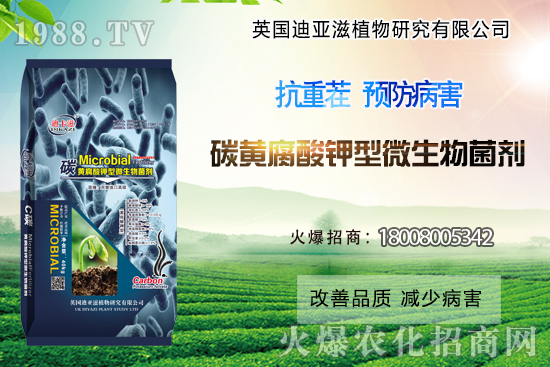 作物重茬危害難解決？這些解決措施你了解過嗎？