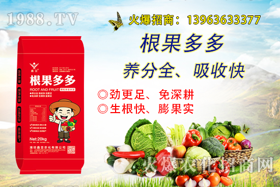 �����������������ô�k����������ࡱ����̽����������������B��