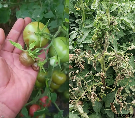 ����������ΰl(f��)���ģ��Л](m��i)�кõķ��δ�ʩ�������@�ׂ�(g��)����߀�о���