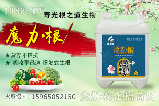 要想作物好，根系更重要！壽光根之道怎么樣？有哪些爆款產(chǎn)品？