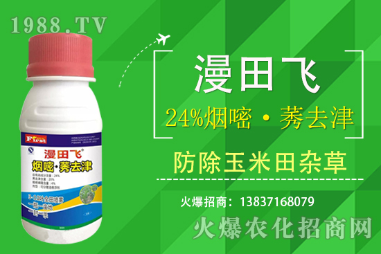 24%���ס�ݬȥ�����Ч���Æ᣿24%���ס�ݬȥ����ʲô���c��