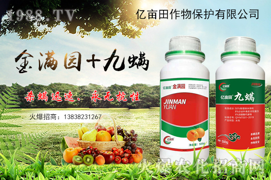 ����x�y�|������M�@+�������p�������������Ț��约�x���з�Ч��