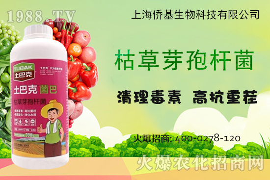 �Ϻ��S�������Ϳˡ�-��ע�����������غ������ޏ�(f��)15����