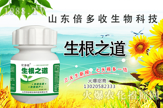 �����ϵ�����a������������֮���������¸����������a�o�n��