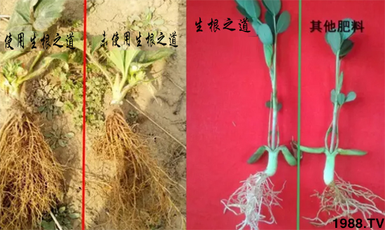 �����ϵ�����a������������֮���������¸����������a�o�n��