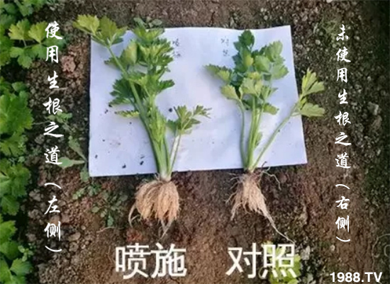 �����ϵ��a������������֮���������¸����������a�o�n��