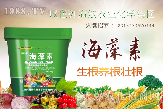 海法農(nóng)業(yè)為啥這么牛？海法農(nóng)業(yè)生產(chǎn)特色是什么？主打哪些產(chǎn)品？