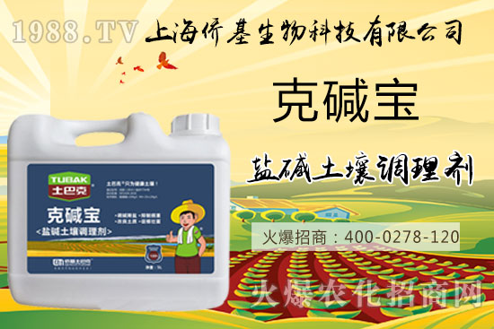 �����}�AΣ���������ˉA���������}�A��߀��һƬ������