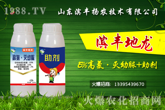 ���^�������������������Ч���Σ���15%���ȡ�������+�����������p���U(xi��n)��	