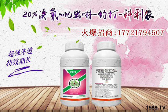 �������x���l(f��)̫���������x��ô��Ч���ã����x���η�������Щ��