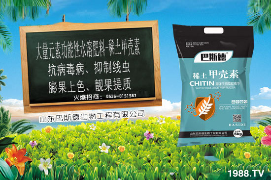 ϡ���ך�����ʲô����ϡ���ך������c����������ʲô������