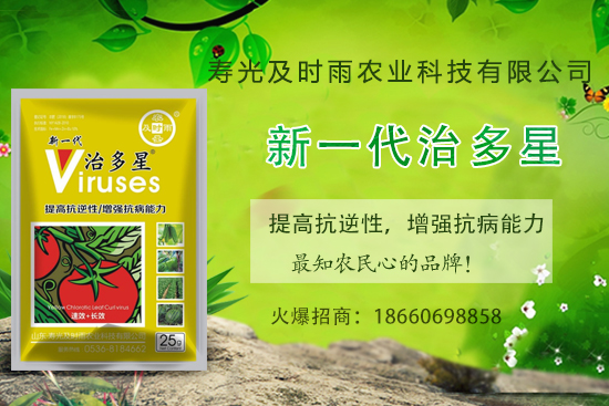 番茄病毒病你知道幾種？怎樣合理防治番茄病毒病？(內(nèi)附防治方法) 