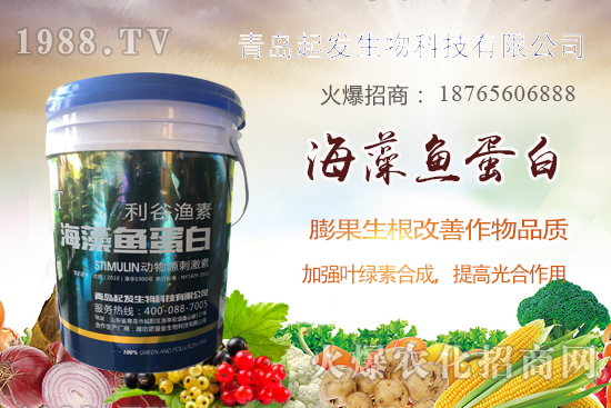 �߲˶�ֲ��ξ�������߲������`�^(q��)����Щ���߲�������������]��