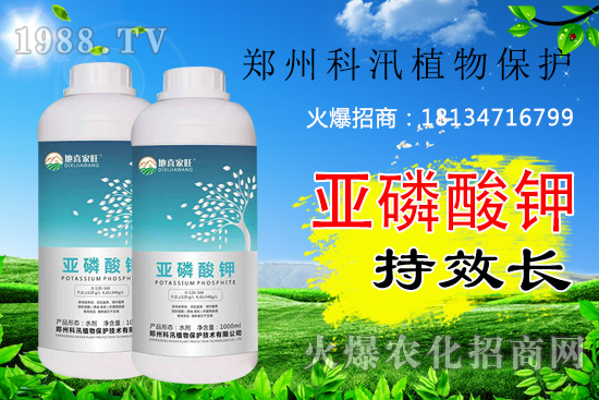 ������⛹�Ч�������C(j��)������Щ������������õĺ������