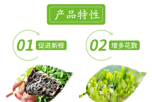 �؃�(y��u)��-ѿ�M��-��(��i)�r(n��ng)˹�_(d��)_04