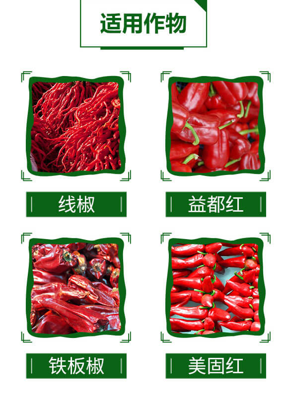 һ��t-�����S_04