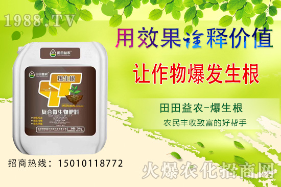 獼猴桃種植前景如何，獼猴桃種植技術(shù)要點！