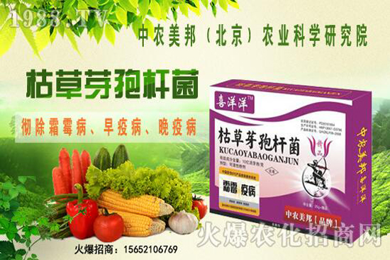 �ݲ�ѿ�ߗU���θ���������������Щ�������������Ό�������Щ��