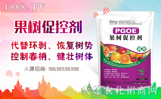 果樹巧用多效唑！效果翻倍沒問題！多效唑的作用與使用方法！