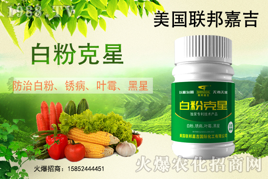 白粉病強(qiáng)勢(shì)來襲！反復(fù)發(fā)作真的治不好么？作物白粉病劑推薦！