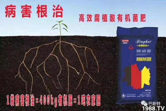     ���׌�Nֲ׃�ø��p�ɣ�һ��(g��)�ײ���ȫ���䷽����˹�ش󽪠I(y��ng)�B(y��ng)�ײͷ�����