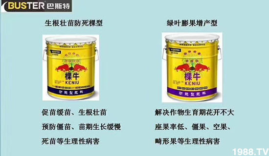     ���׌�Nֲ׃�ø��p�ɣ�һ��(g��)�ײ���ȫ���䷽����˹�ش󽪠I(y��ng)�B(y��ng)�ײͷ�����