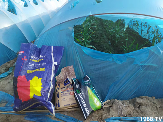     ���׌�Nֲ׃�ø��p����һ��(g��)�ײͣ�ȫ���䷽����˹�ش󽪠I(y��ng)�B(y��ng)�ײͷ�����