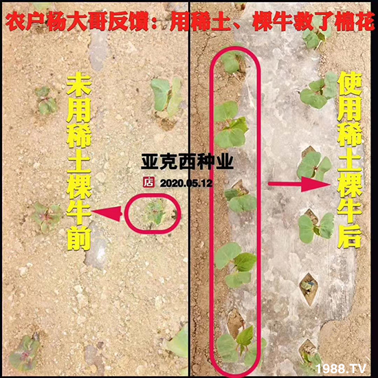     ���׌�Nֲ׃�ø��p����һ��(g��)�ײͣ�ȫ���䷽����˹�ش󽪠I(y��ng)�B(y��ng)�ײͷ�����