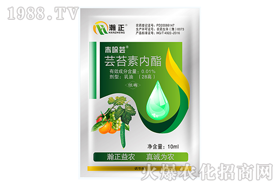 �|̦�؃�(n��i)����ʲô��(y��u)��(sh��)���|̦�؃�(n��i)����(f��)�䷽������Щ��