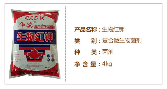 ����t�-�ͺ�΢�������-�A�I_03