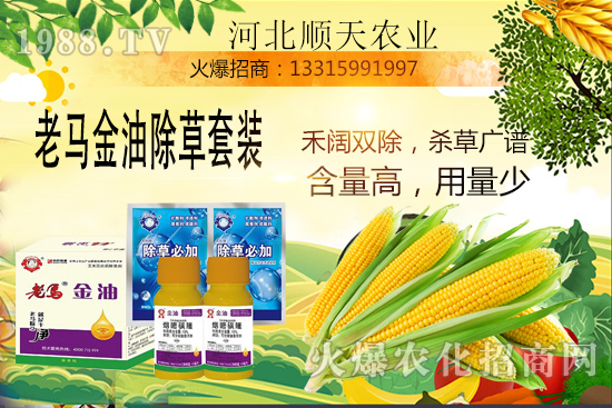 ����������������Ч�������׳����P(gu��n)�I�c(di��n)��R����