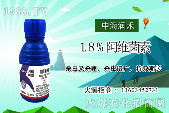 斜紋夜蛾高發(fā)期，防治工作迫在眉睫！斜紋夜蛾如何用藥？