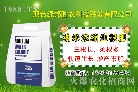 番茄死棵究竟哪些原因所致，如何預防番茄死棵發(fā)生？