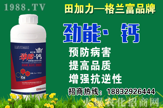 2020秋蘿卜什么時候種？秋蘿卜種植要注意哪些問題？